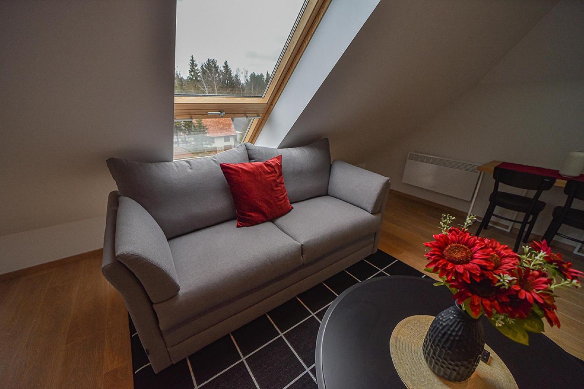Beli Bor Zlatibor Apart otel Dış mekan fotoğraf