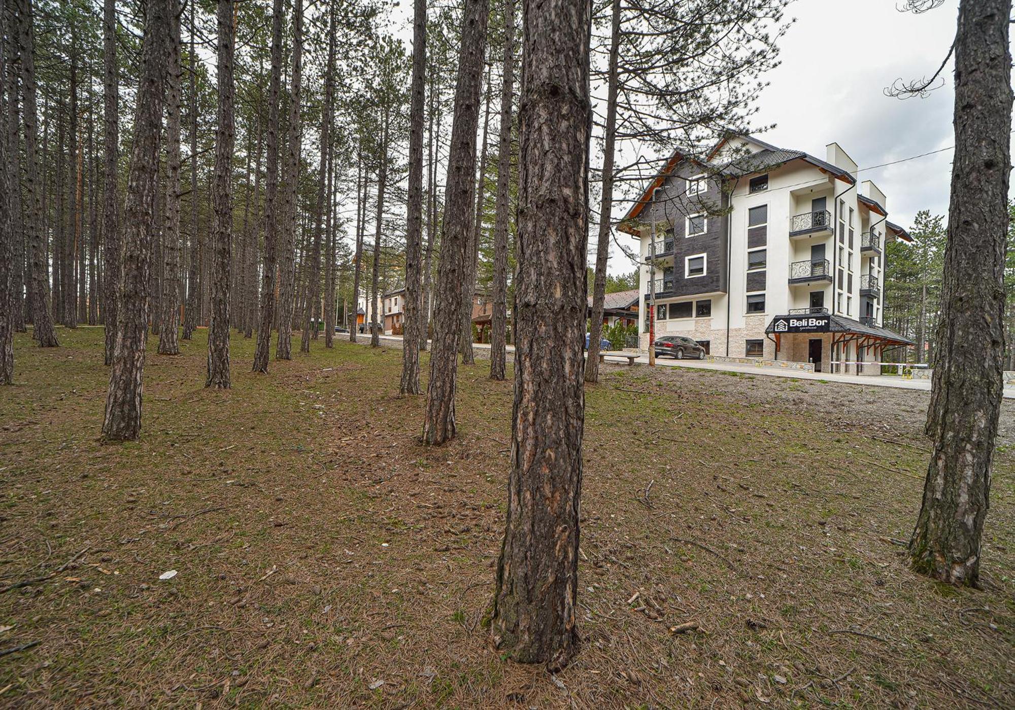 Beli Bor Zlatibor Apart otel Dış mekan fotoğraf